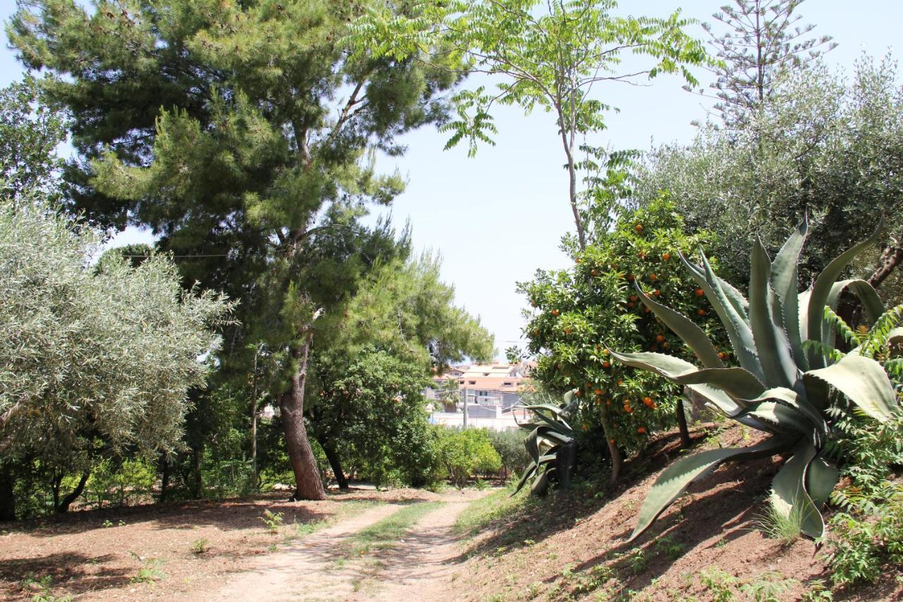 Tenuta Conte Ruggero Santa Domenica  Kültér fotó