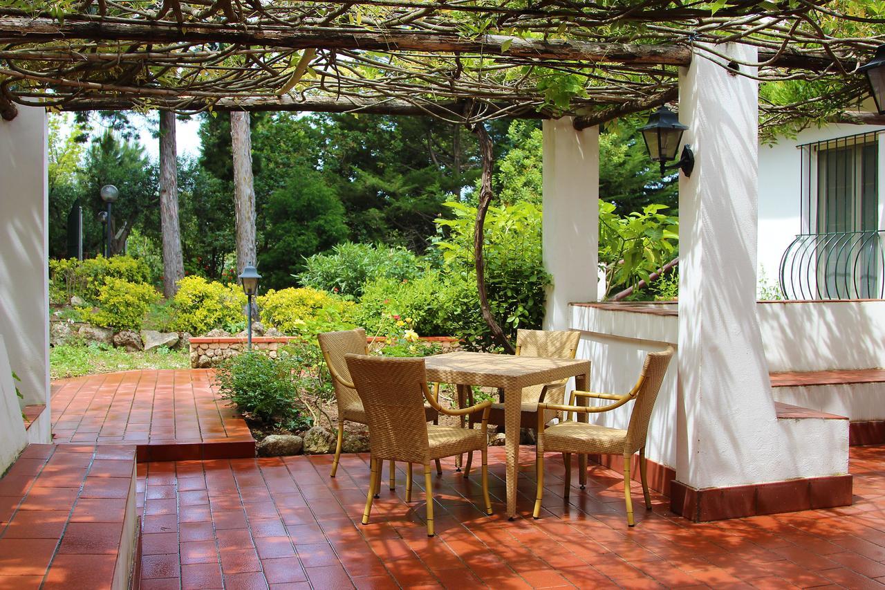 Tenuta Conte Ruggero Santa Domenica  Kültér fotó